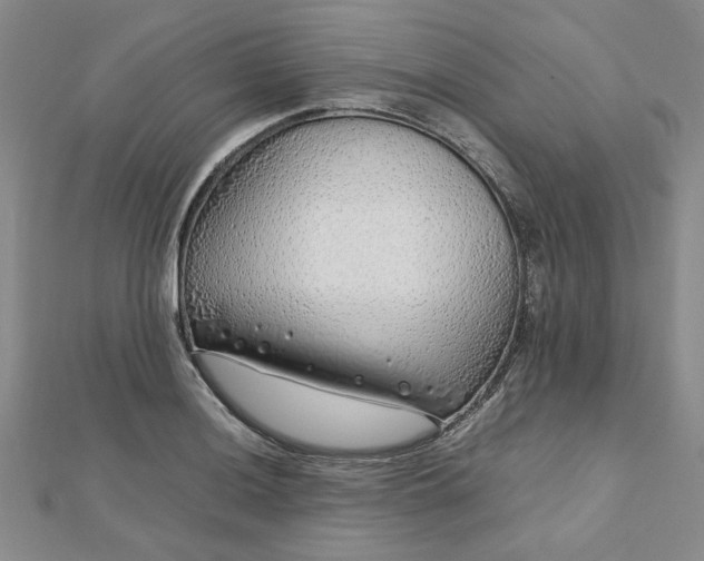 X0000112751036200909031522