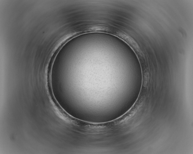 X0000112751039200909031522