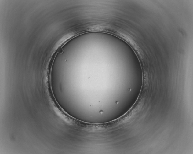 X0000112751042200909031522