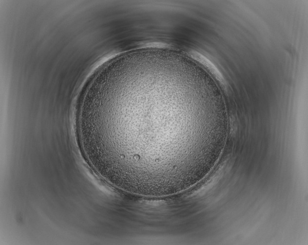 X0000112751043200909031522