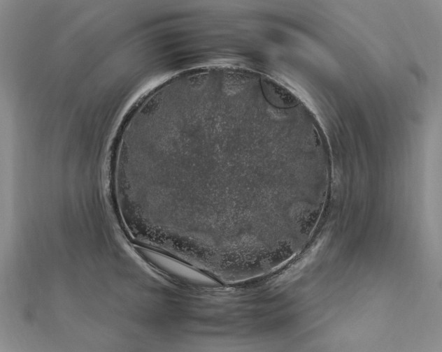 X0000112751045200909031522