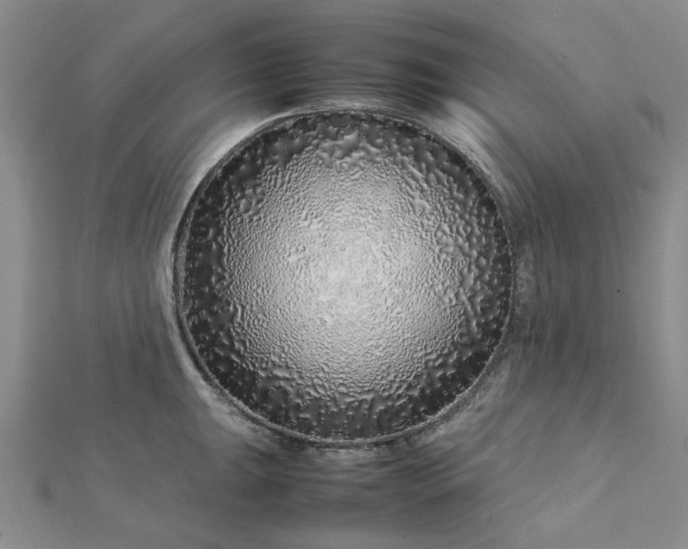 X0000112751047200909031522