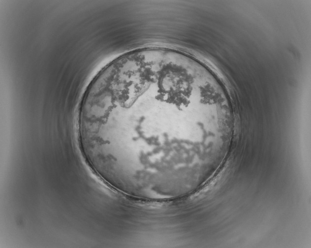 X0000112751048200909031522