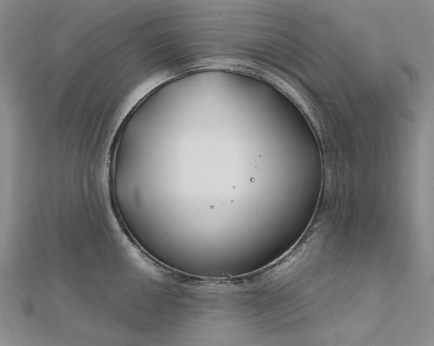 X0000112751050200909031522