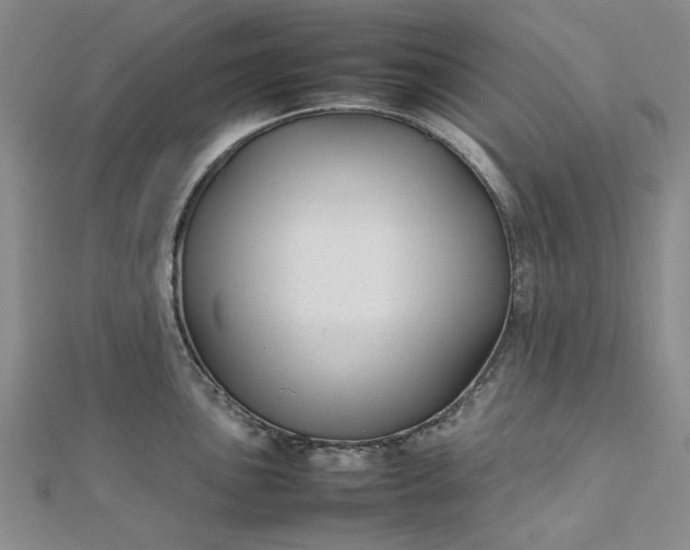 X0000112751051200909031522