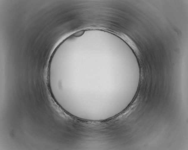 X0000112751052200909031522