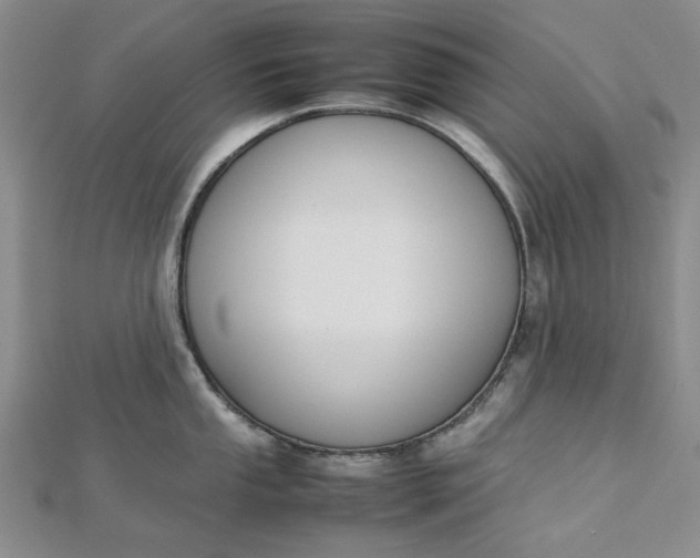 X0000112751053200909031522