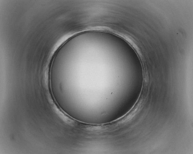 X0000112751054200909031522