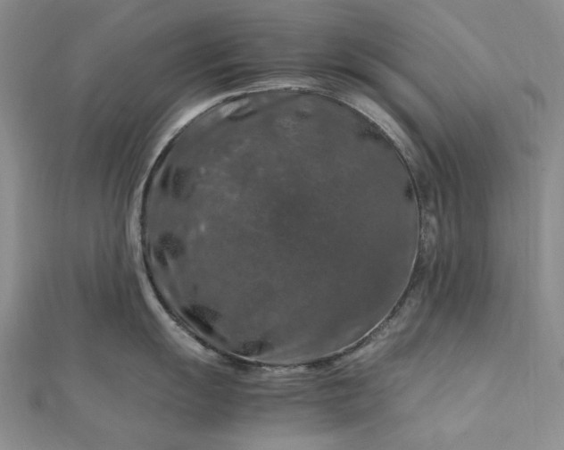 X0000112751055200909031522