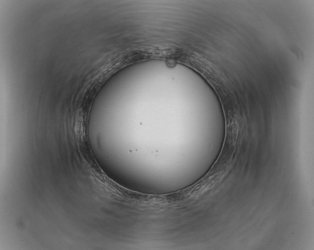 X0000112751058200909031522