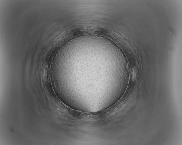 X0000112751059200909031522