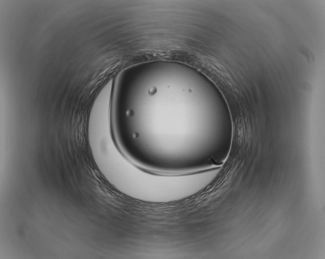 X0000112751060200909031522