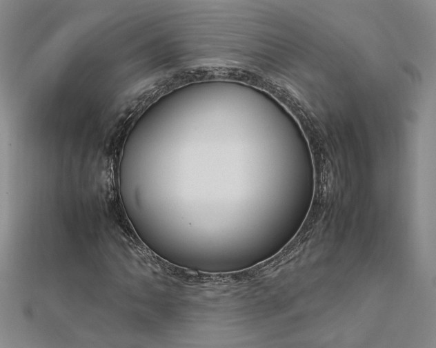 X0000112751062200909031522