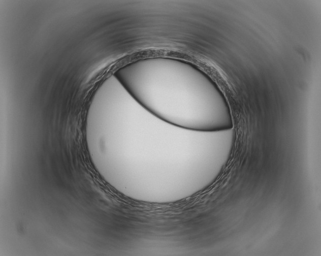 X0000112751064200909031522