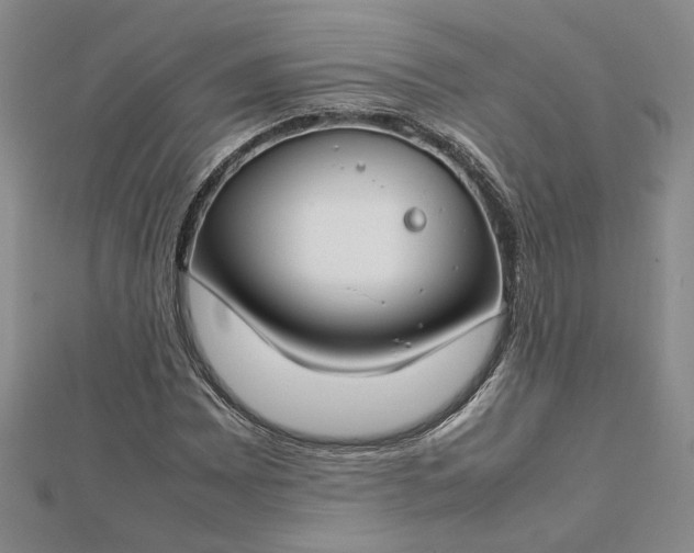 X0000112751065200909031522