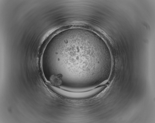 X0000112751066200909031522