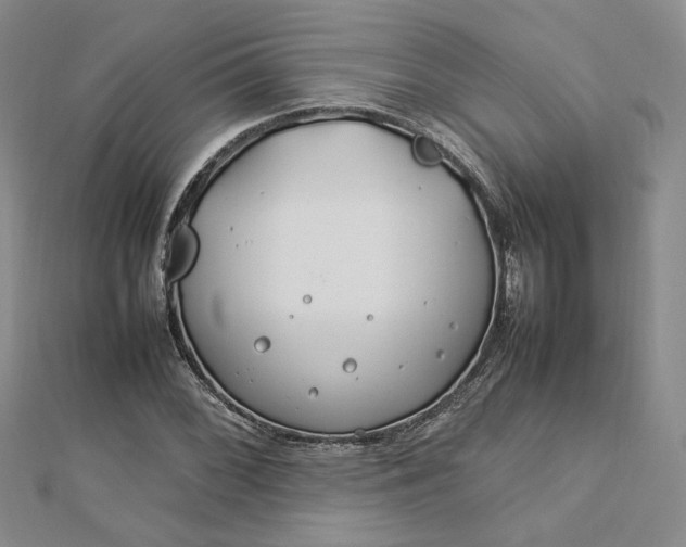 X0000112751068200909031522