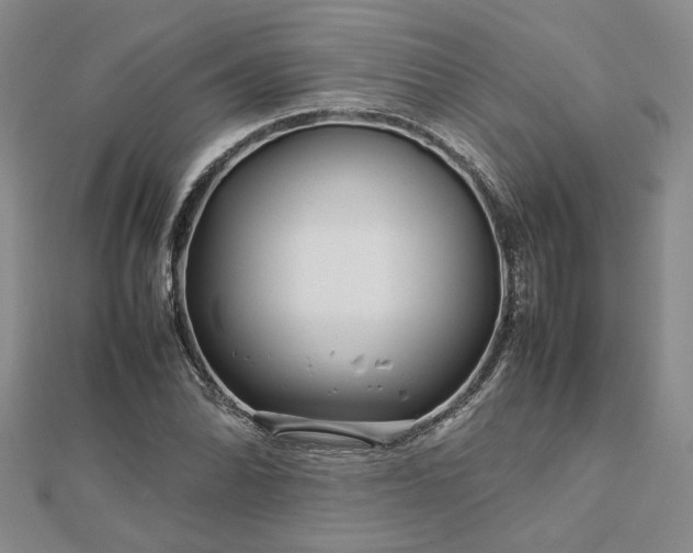 X0000112751070200909031522