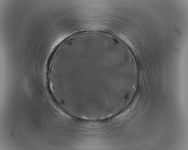 X0000112751071200909031522