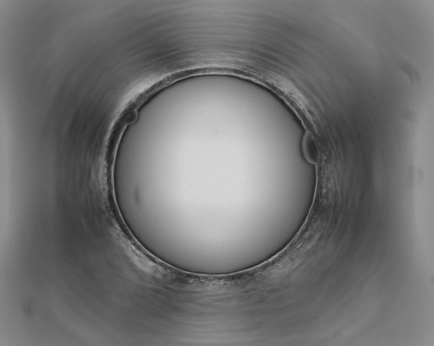 X0000112751072200909031522