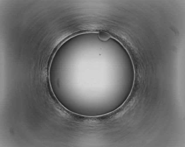 X0000112751073200909031522