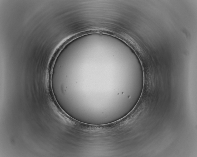 X0000112751076200909031521