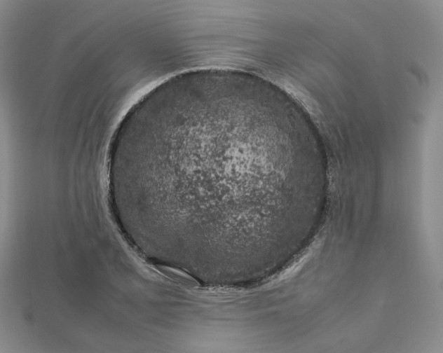 X0000112751077200909031521