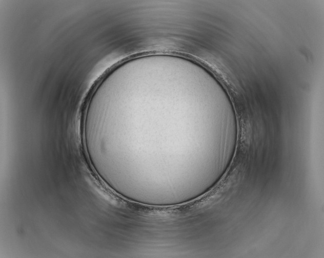 X0000112751078200909031521