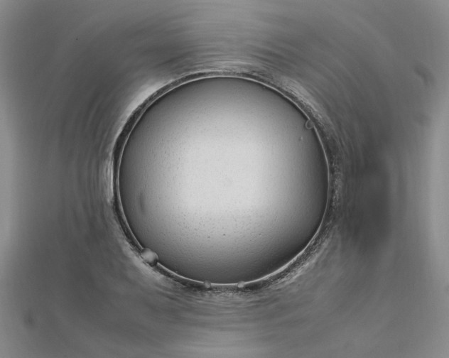 X0000112751079200909031521