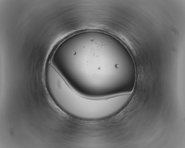 X0000112751080200909031521