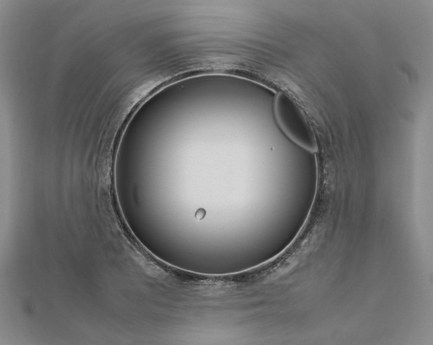 X0000112751081200909031521