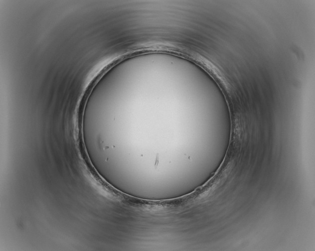 X0000112751082200909031521