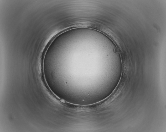 X0000112751083200909031521