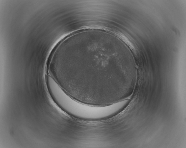 X0000112751084200909031521