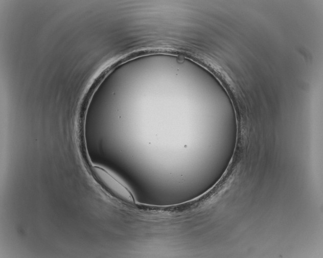 X0000112751085200909031521