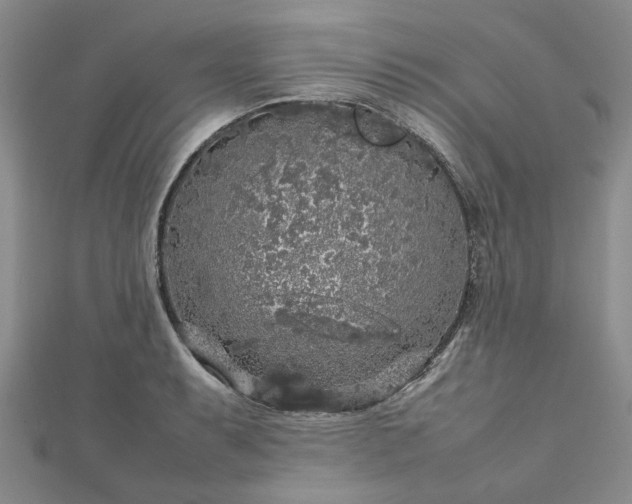 X0000112751087200909031521