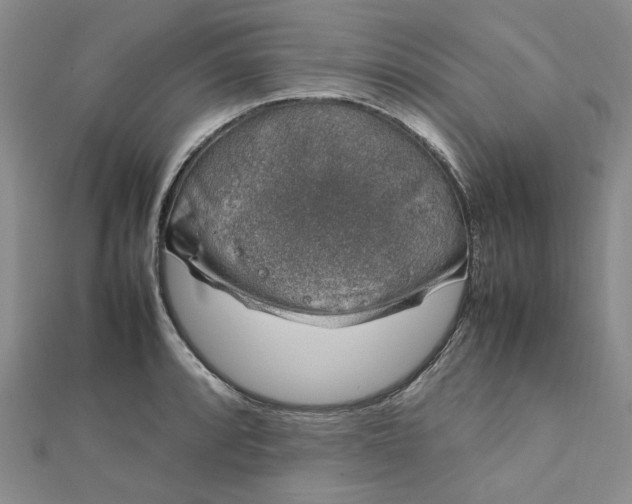 X0000112751088200909031521