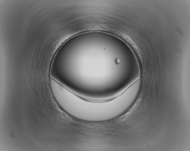 X0000112751089200909031521