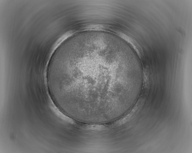 X0000112751090200909031521