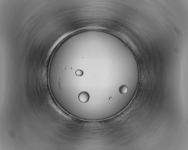 X0000112751092200909031521