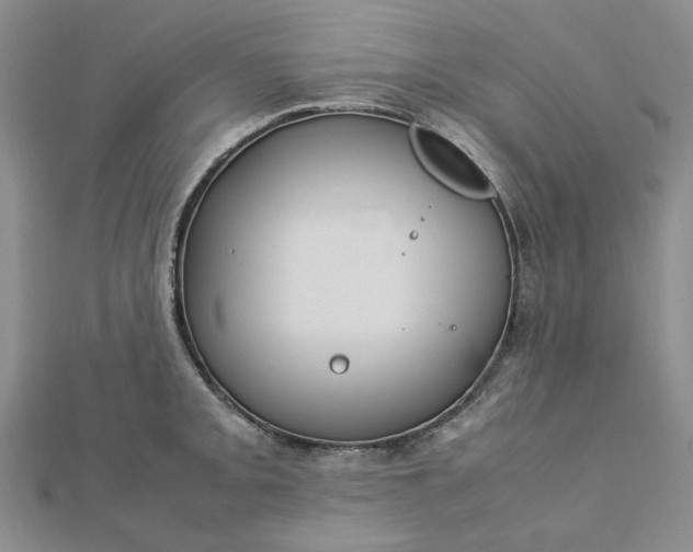 X0000112751093200909031521