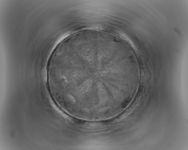 X0000112751095200909031521