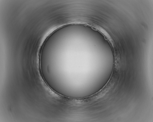 X0000112751096200909031521