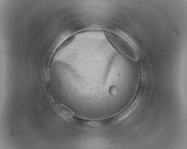 X0000112751097200909031521