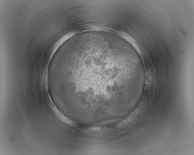 X0000112751098200909031521