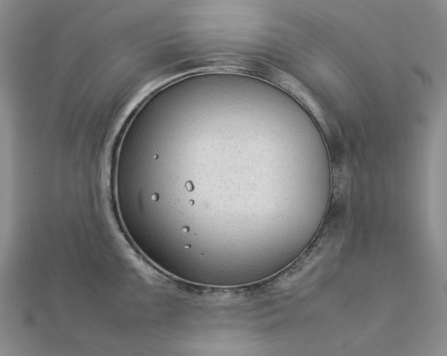 X0000112751099200909031521