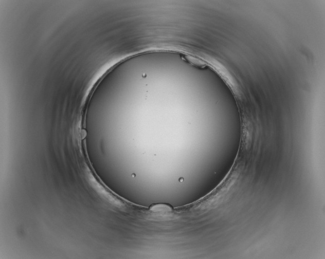 X0000112751100200909031521