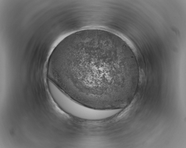 X0000112751102200909031521