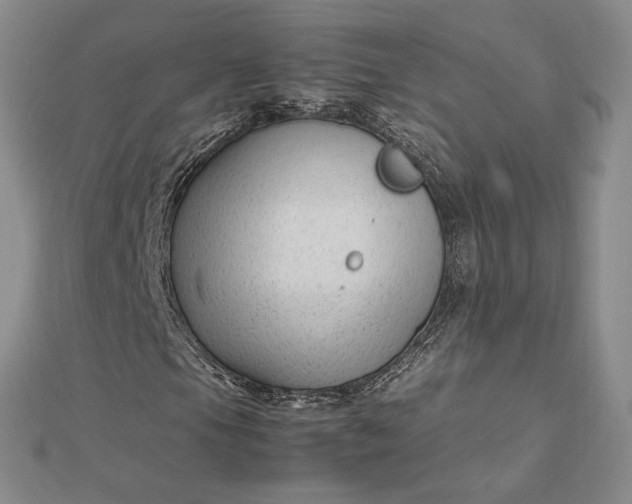 X0000112751105200909031520