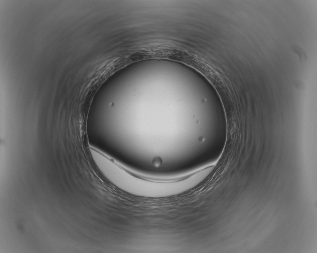 X0000112751108200909031521